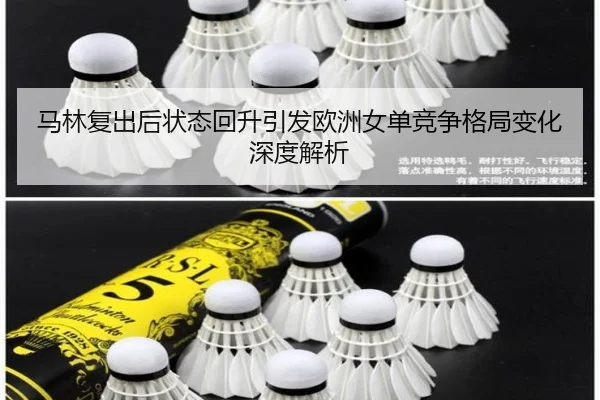 ma-lin-fu-chu-hou-zhuang-tai-hui-sheng-yin-fa-ou-zhou-nv-dan-jing-zheng-ge-ju-bian-hua-shen-du-jie-xi-2-986.jpg
